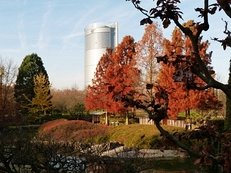 Bonn, Rheinauenpark, Herbst