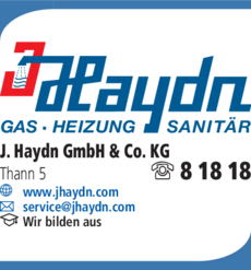 Anzeige Heizung Haydn