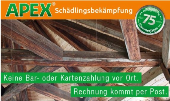 APEX Schädlingsbekämpfung-Holzschutz nach DIN68800