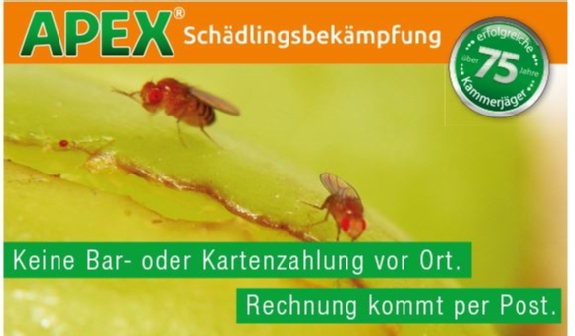 APEX Schädlingsbekämpfung-Fliegenbekämpfung
