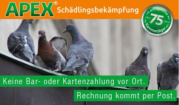 APEX Schädlingsbekämpfung-Taubenabwehr
