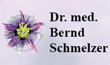Kundenlogo von Schmelzer Bernd Dr. med.