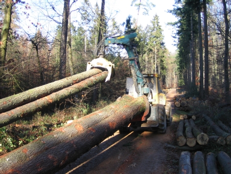Forstbetrieb Guderjahn, Rückearbeiten 1