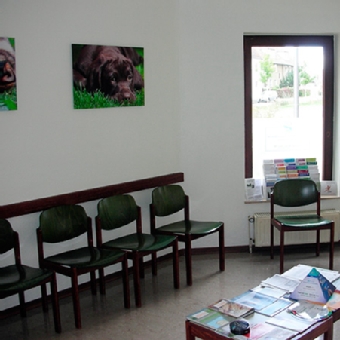Tierarztpraxis Dr. Boerner, Wartezimmer