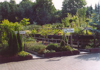 Gartengestaltung & Baumschule Fett - Bild 3