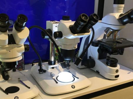 Euromex® Mikroskope und Kameras