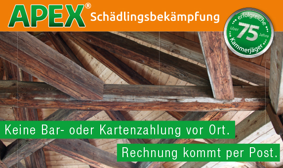 APEX-Holzschutz nach DIN 68800-4