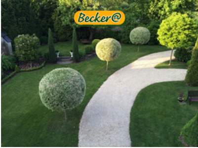 Becker Baumdienste & Gartengestaltung