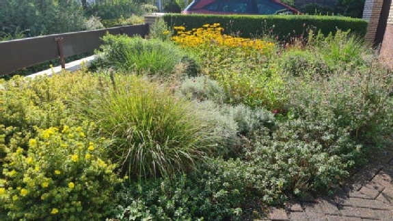 Ihr Garten als Wohnraum 7