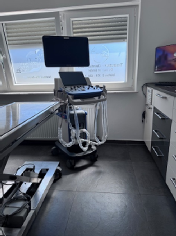 Dr. med. vet. Holger Linden, Beh. mit Ultraschall