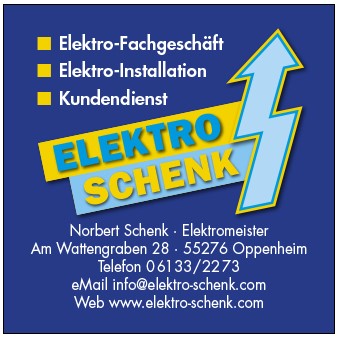 Schenk Norbert Elektro-Fachgeschäft in Oppenheim - Logo