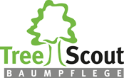 Treescout Baumpflege in Freudenberg in Westfalen - Logo