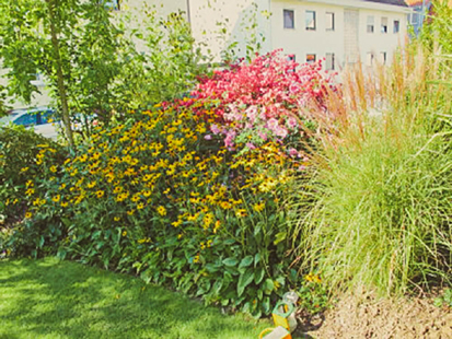 Kundenbild groß 1 Garten- und Landschaftsbau Nitzsche GmbH