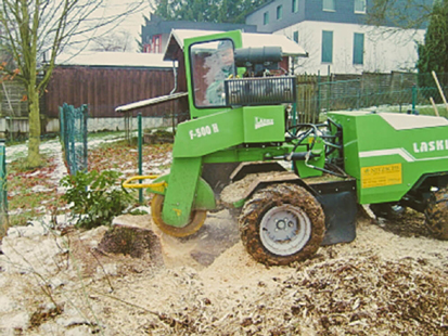 Kundenbild groß 6 Garten- und Landschaftsbau Nitzsche GmbH