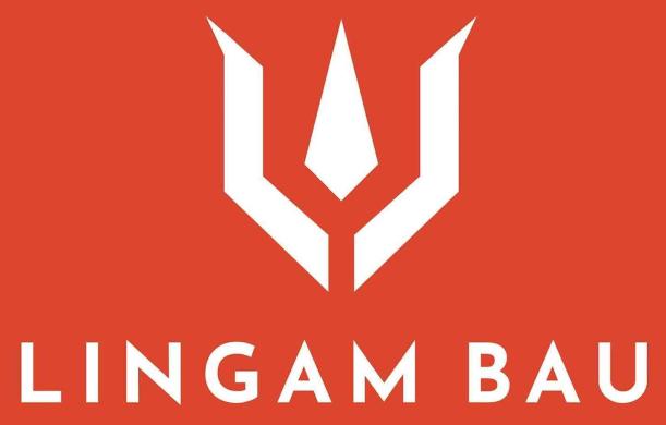 Kundenlogo von LINGAM BAU -Innenausbau, Malerarbeiten, Abbruch und Trockenbau