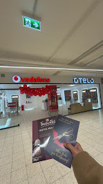 Kundenlogo von Vodafone Shop & Otelo FH
